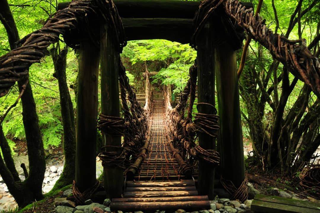 祖谷のかずら橋