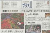 ホテル祖谷温泉が日経プラス1に掲載されました！
